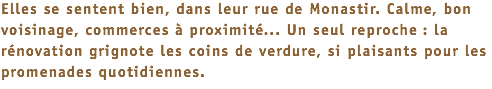 Elles se sentent bien, dans leur rue de Monastir. Calme, bon voisinage, commerces à proximité... Un seul reproche : la rénovation grignote les coins de verdure, si plaisants pour les promenades quotidiennes.